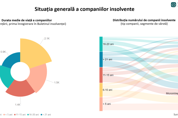 Sierra Quadrant: Prototipul firmei vulnerabile la insolvență