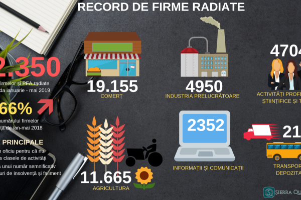 Analiză Sierra Quadrant. Peste 60.000 de firme s-au ,,evaporat’’ din economie în 2019