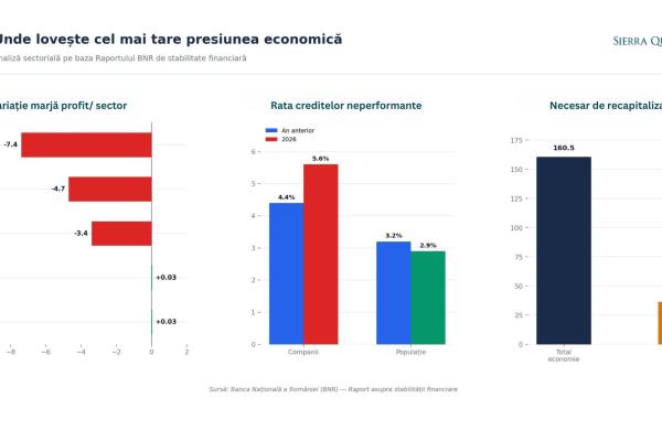Firmele private se sufocă: raportul BNR care arată cum se rupe economia românească în două