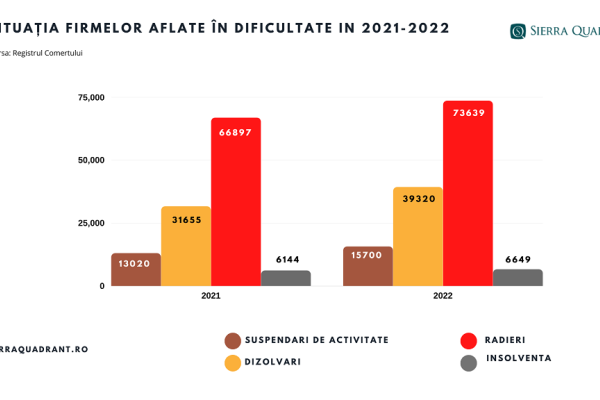 situatia firmelor 2021