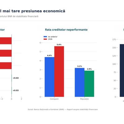 Firmele private se sufocă: raportul BNR care arată cum se rupe economia românească în două