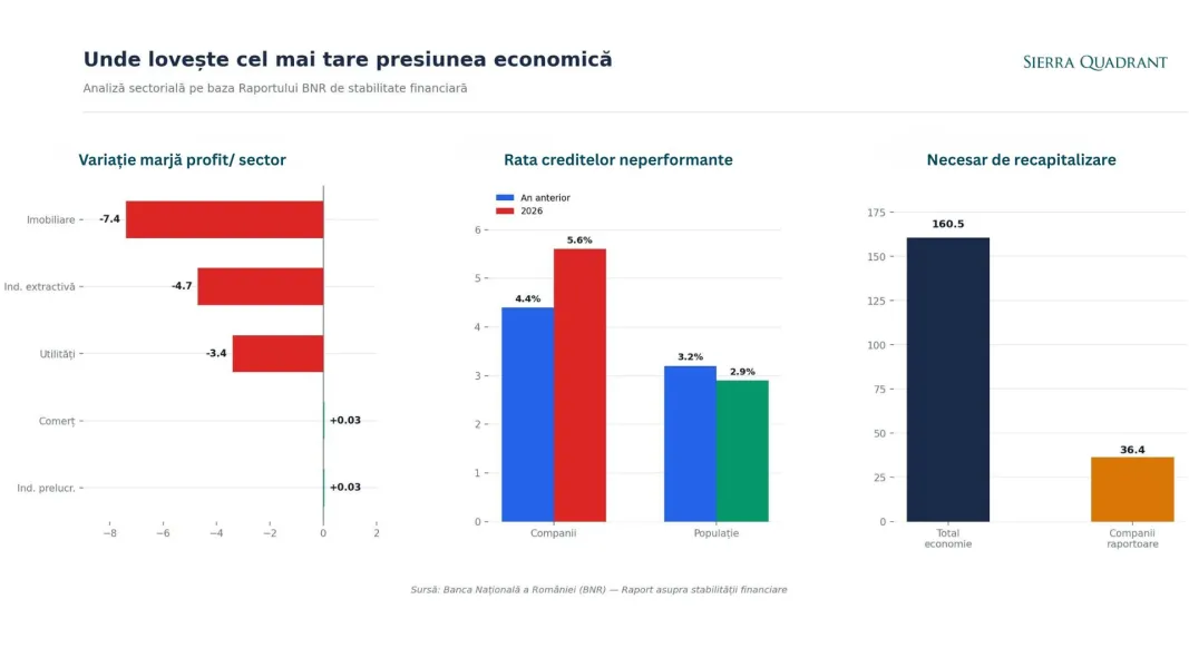 Firmele private se sufocă: raportul BNR care arată cum se rupe economia românească în două