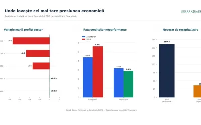 Firmele private se sufocă: raportul BNR care arată cum se rupe economia românească în două