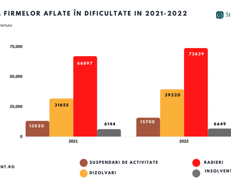 situatia firmelor 2021