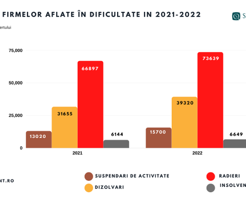 situatia firmelor 2021